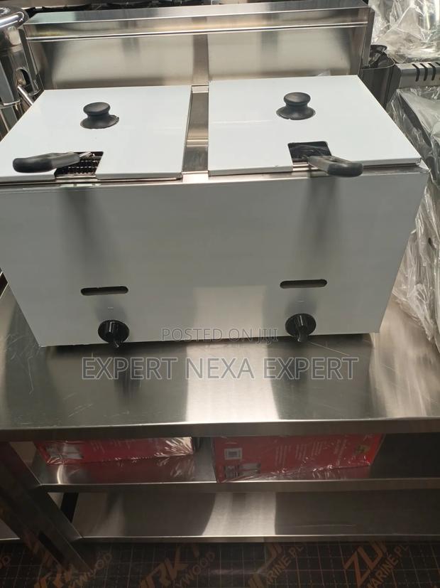Double Gas Cooker Fryer
