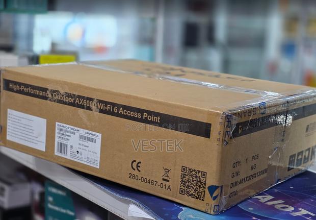 Grandstream GWN7664ELR Long Range Outdoor Wi-Fi 6 Access Point AX6000