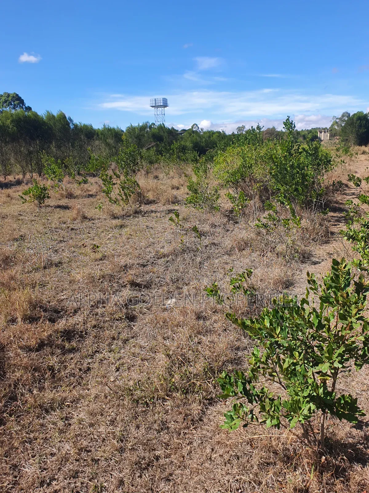 1 Acre on Sale [ Sweetwaters] Nanyuki
