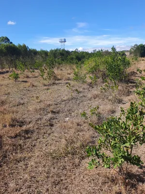 1 Acre on Sale [ Sweetwaters] Nanyuki