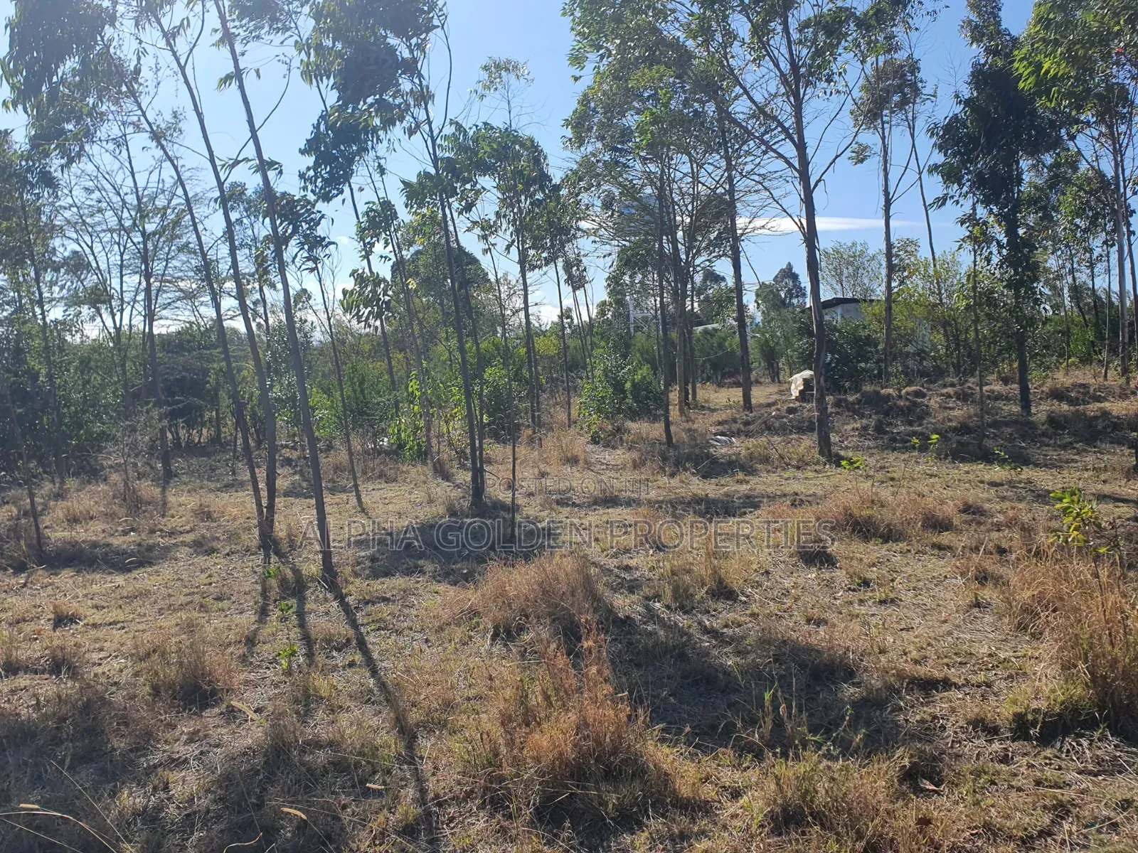 1 Acre on Sale [ Sweetwaters] Nanyuki