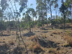 1 Acre on Sale [ Sweetwaters] Nanyuki