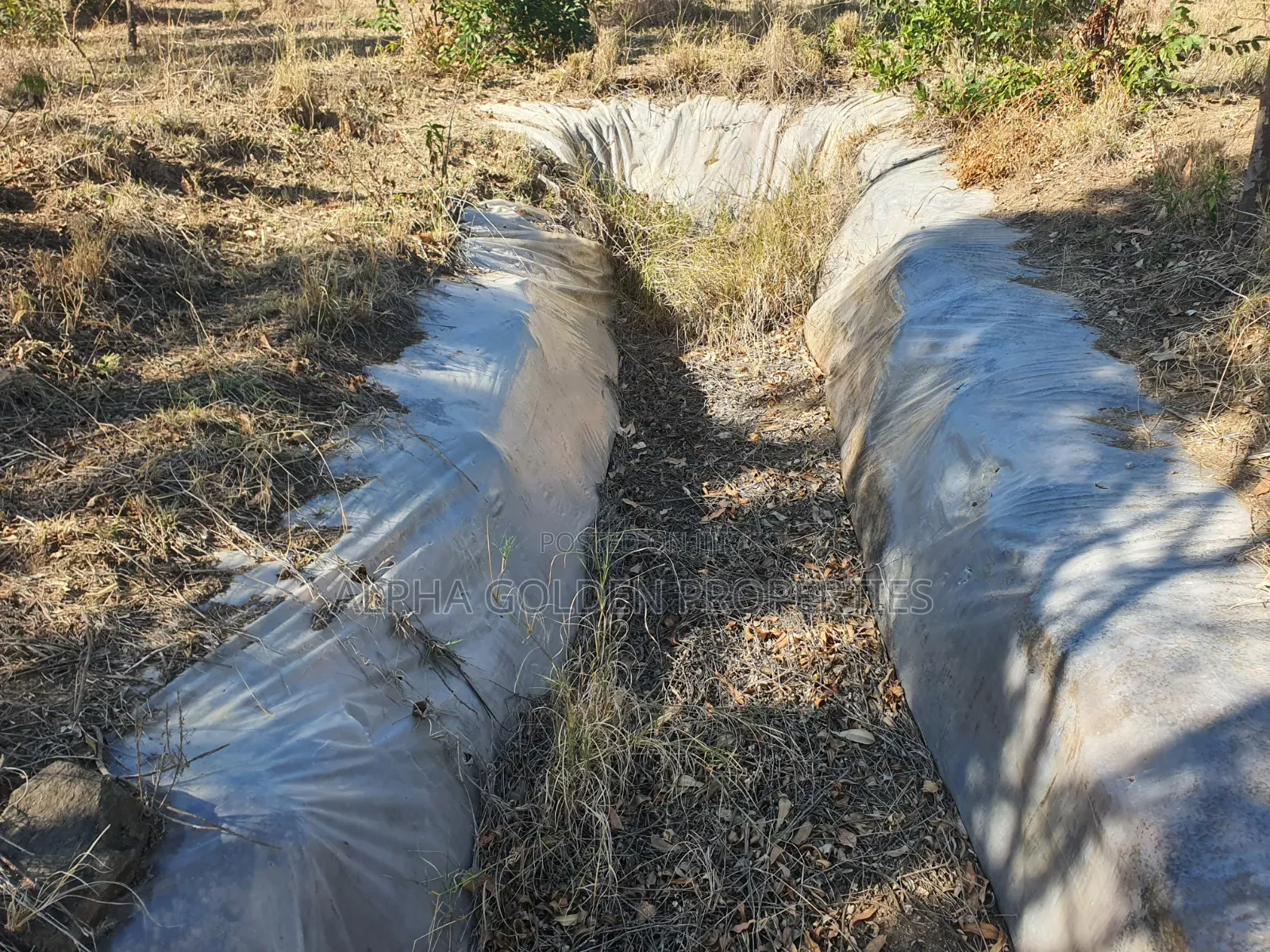 1 Acre on Sale [ Sweetwaters] Nanyuki