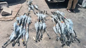 Steering Racks
