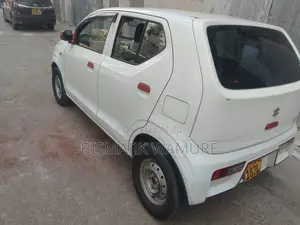 Suzuki Alto 2017 Gray