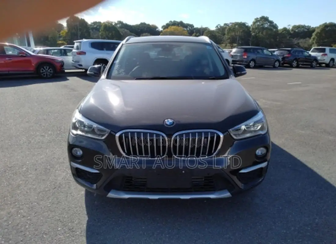 BMW X1 2018 Matt Black