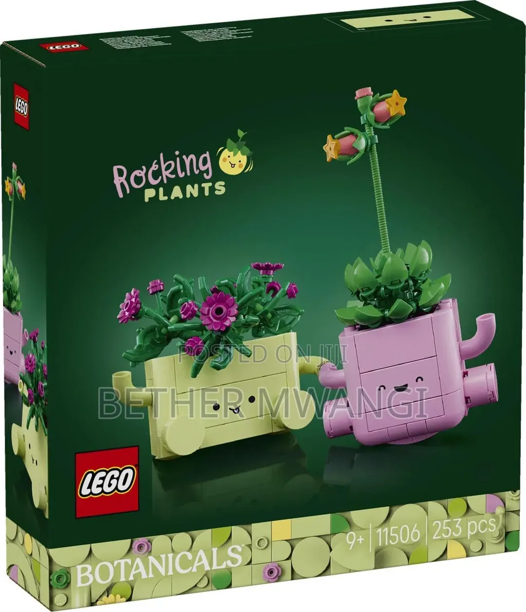 Lego ROCKING PLANTS in Kenya