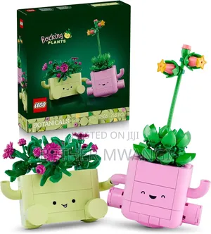 Lego ROCKING PLANTS in Kenya