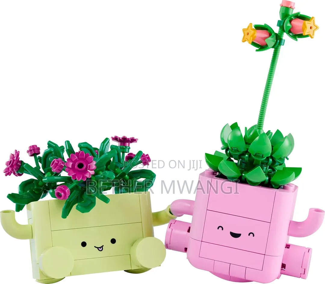 Lego ROCKING PLANTS in Kenya
