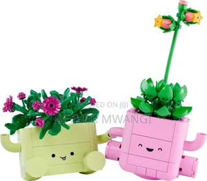 Lego ROCKING PLANTS in Kenya