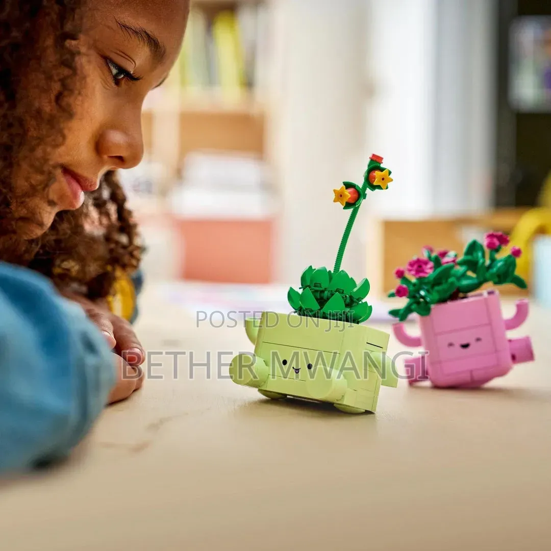 Lego ROCKING PLANTS in Kenya