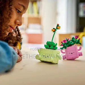 Lego ROCKING PLANTS in Kenya