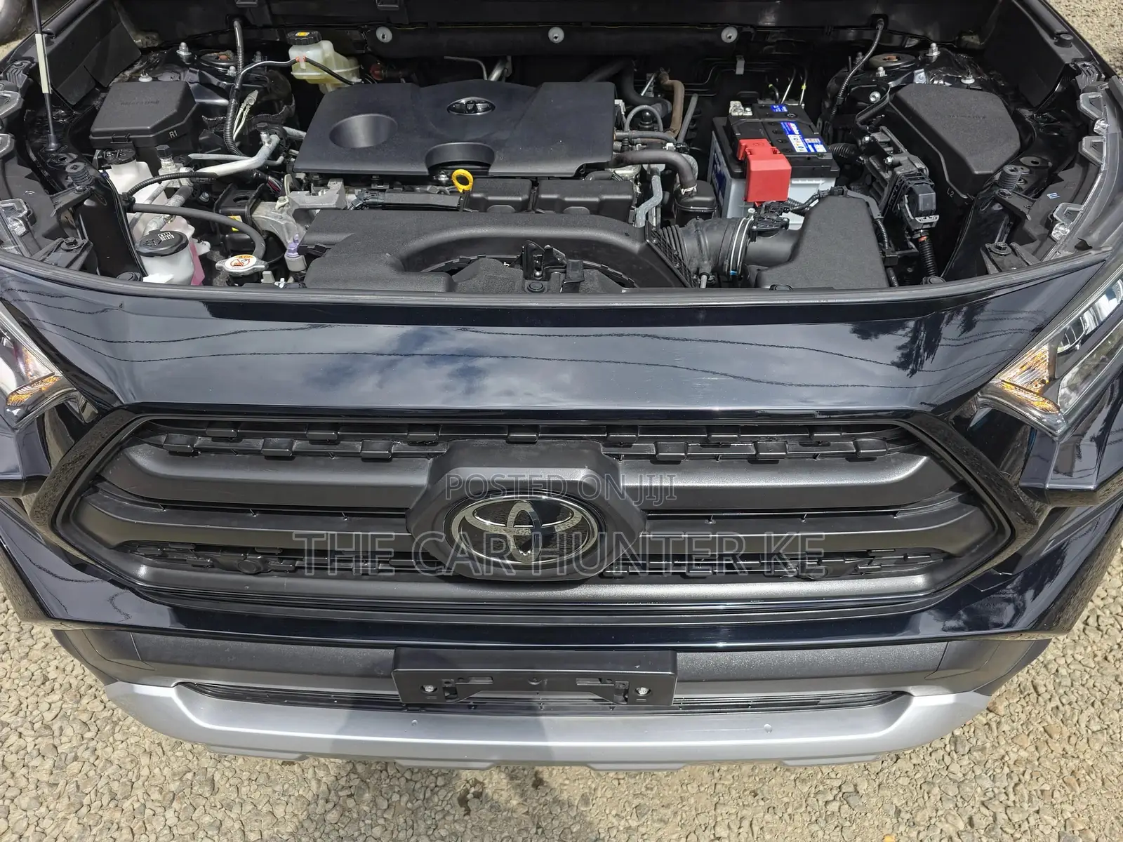 Toyota RAV4 Adventure 2019