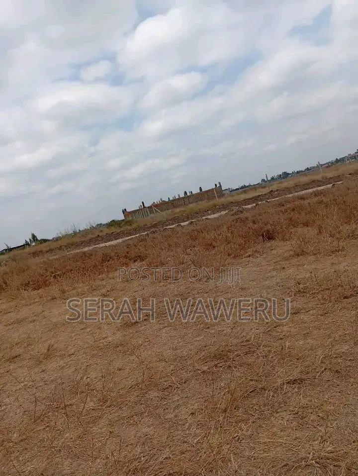 Viraj _Syokimau