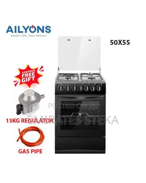 Ailyons 50 by 55 3+1 Electric Hot Plate Standing Cooker