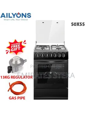 Ailyons 50 by 55 3+1 Electric Hot Plate Standing Cooker
