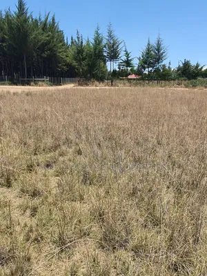 Plot Near Nanyuki Town