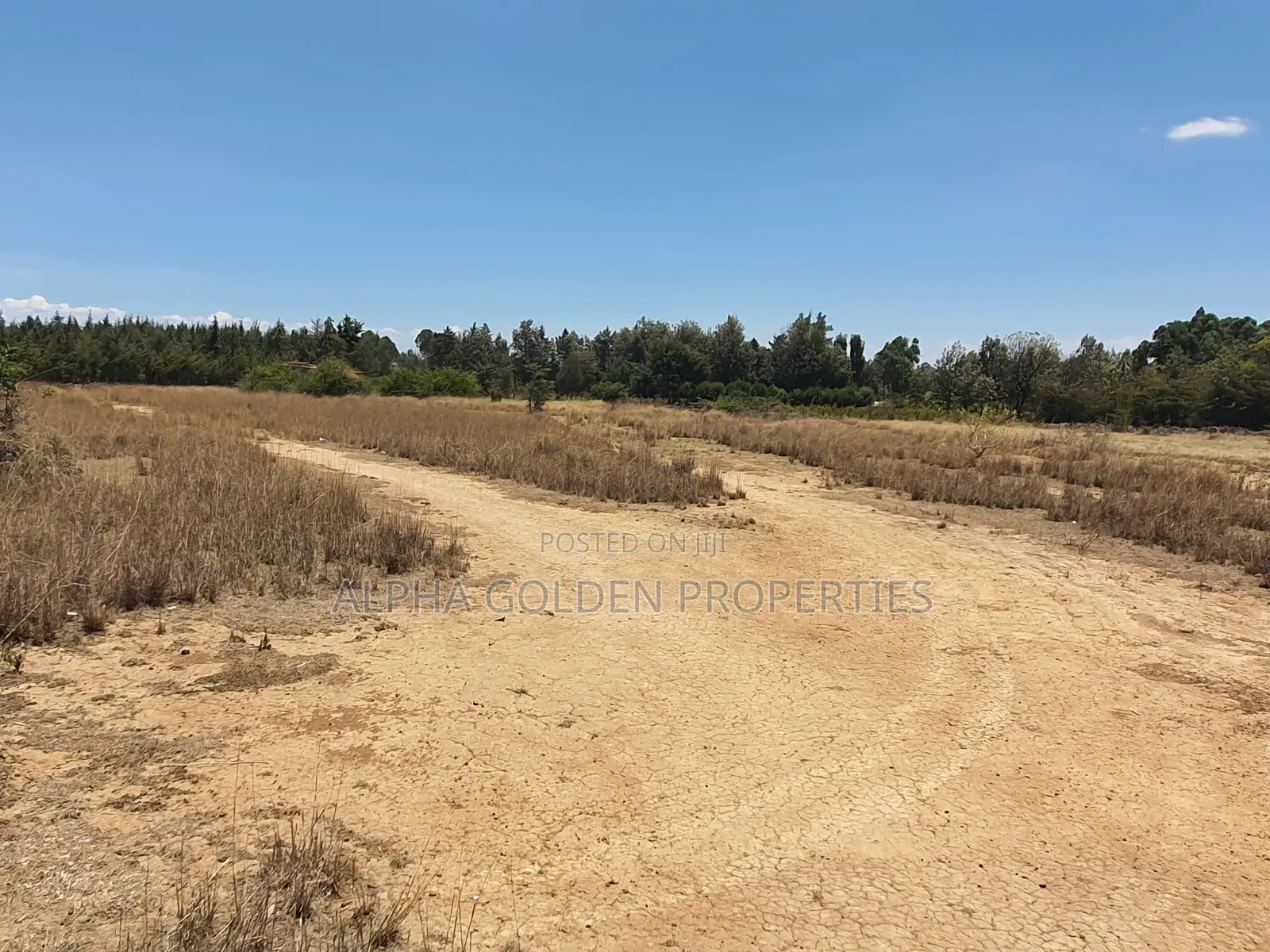 Plot Near Nanyuki Town