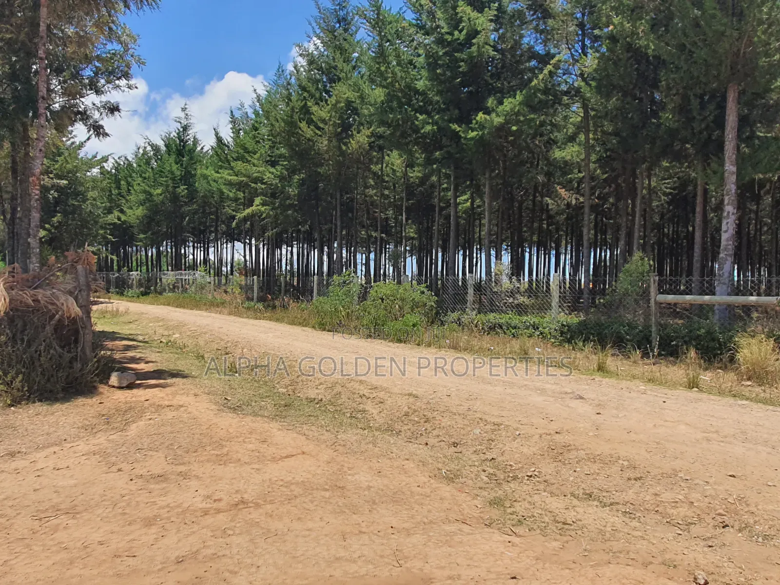 Plot Near Nanyuki Town