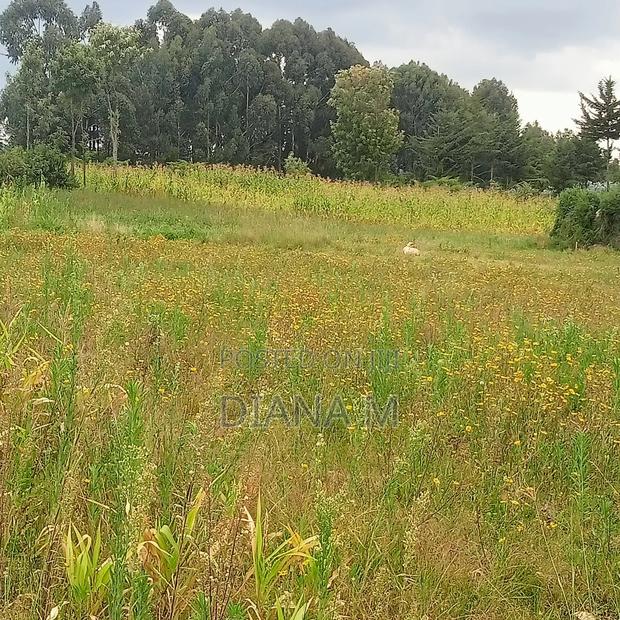 Prime 10 Acres on Sale in Kasuku