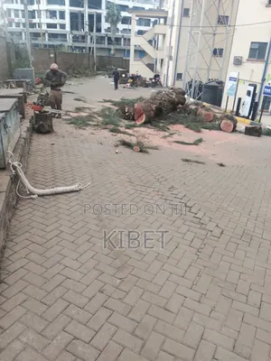 Tree Service