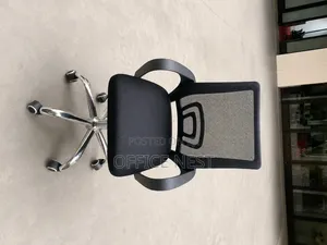 Ergonomic Mesh Office Chair With Armrests Chrome Base