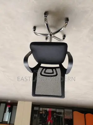 Ergonomic Mesh Office Chair With Armrests Chrome Base