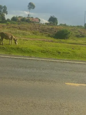 1/4acre On Sale At Kinungi Naivasha