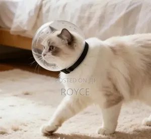 Cat Anti-Bite Muzzle