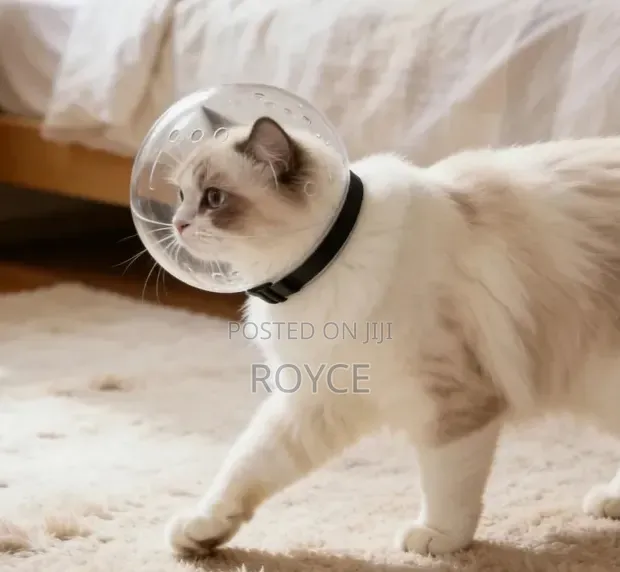 Cat Anti-Bite Muzzle