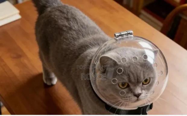 Cat Anti-Bite Muzzle - thumbnail 7