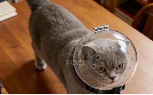Cat Anti-Bite Muzzle