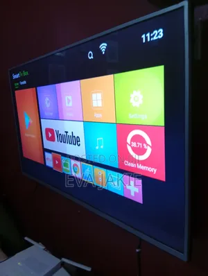 Television