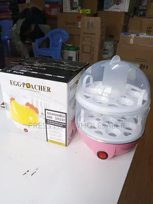 Double Egg Boiler Steamer