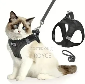 Cat Harness