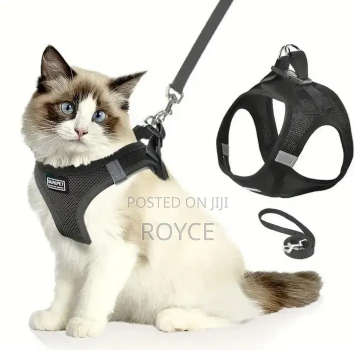 Cat Harness