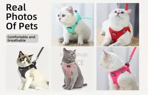 Cat Harness