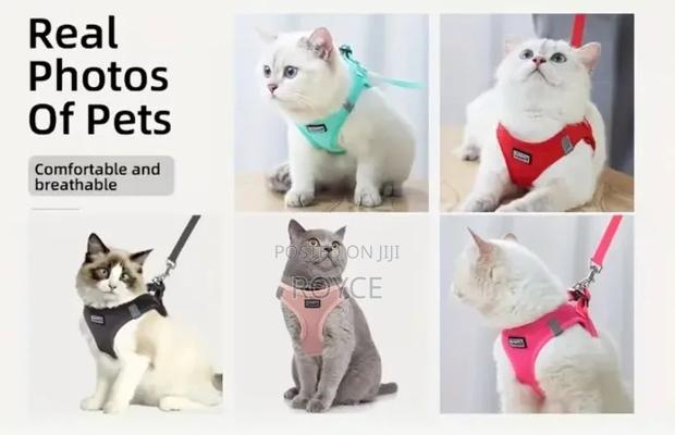Cat Harness - thumbnail 2