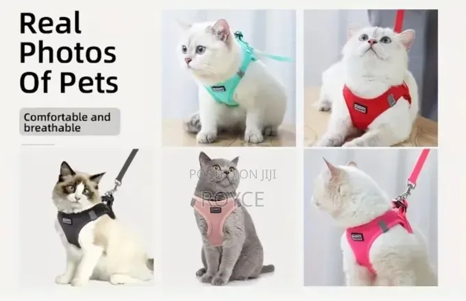 Cat Harness