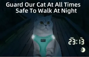 Cat Harness