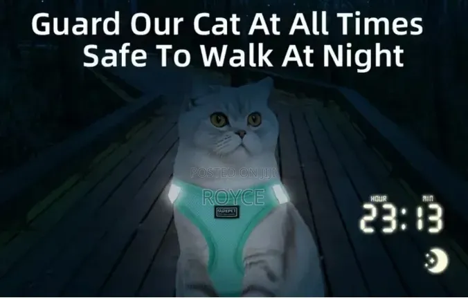 Cat Harness