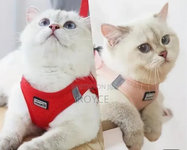 Cat Harness - thumbnail 8