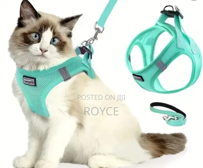 Cat Harness