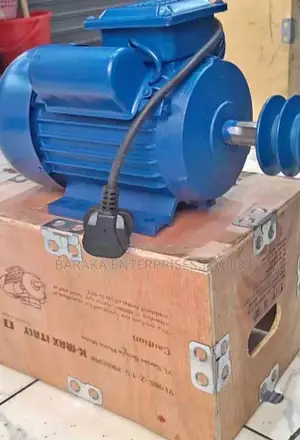 2 HP Electric Motore