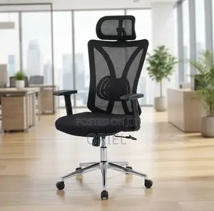 Office Chair : Home Orthopedic Chair.
