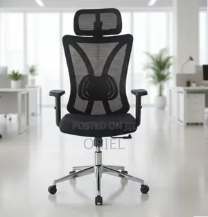 Office Chair : Home Orthopedic Chair.