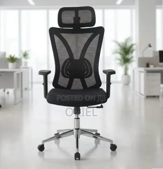 Office Chair : Home Orthopedic Chair.