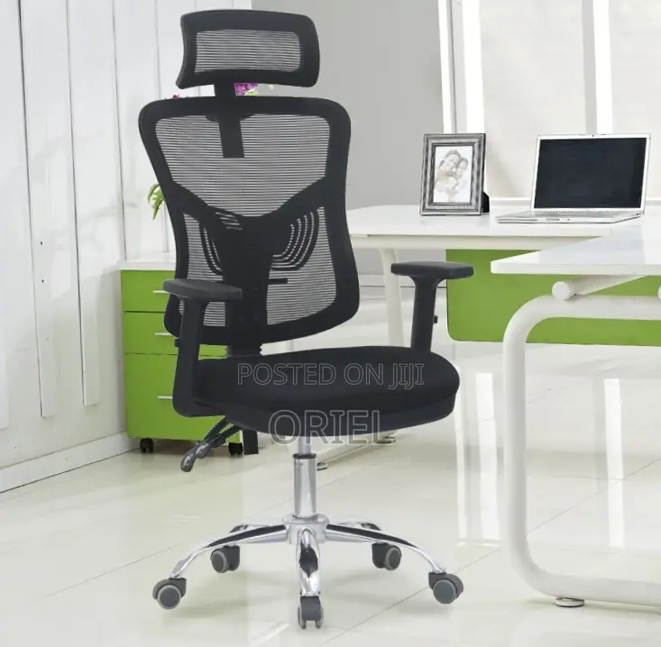 Office Chair : Home Orthopedic Chair.
