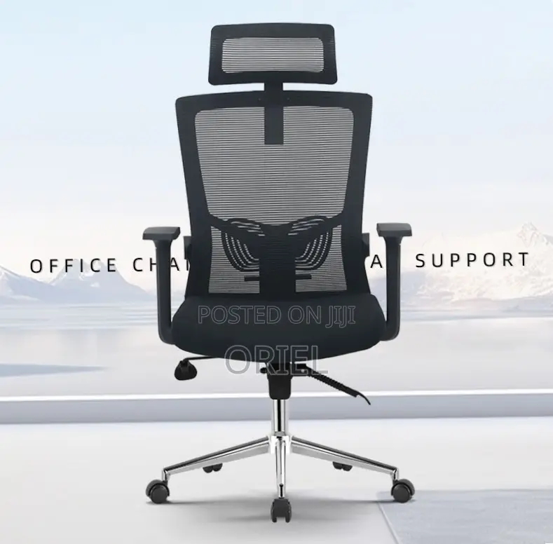 Office Chair : Home Orthopedic Chair.