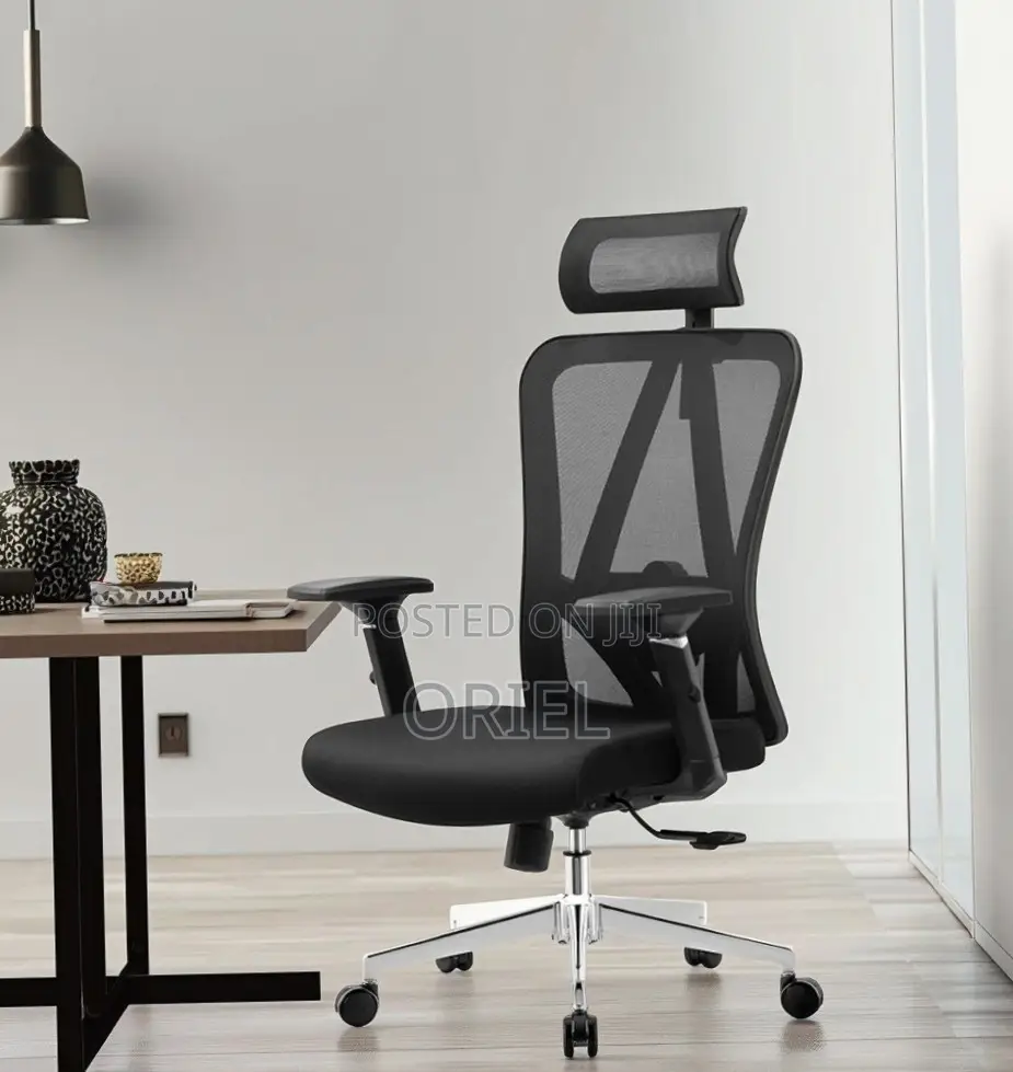 Office Chair : Home Orthopedic Chair.
